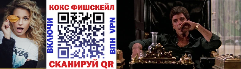 КОКАИН FishScale  shop наркотические препараты  Темников  mega зеркало 