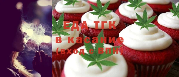 индика Балахна