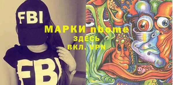 индика Балахна